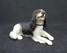 Cavalier king charles for sale  Evans