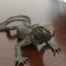Stunning bronze lizard for sale  WEDNESBURY