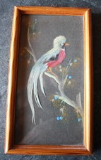 Bild vogel echt gebraucht kaufen  Muldestausee