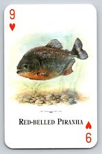 Swap card red for sale  Wynantskill