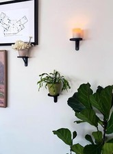 Plant perch purpose for sale  Reno