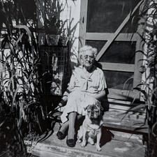 1 old pug for sale 1 old pug for sale Hackettstown