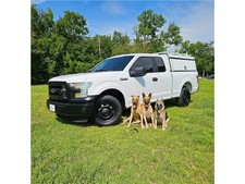 2015 ford 150 for sale  Houston