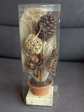 Trocken natur deko gebraucht kaufen  Deutschland