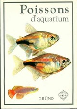 Poissons aquarium ivan d'occasion  Hennebont
