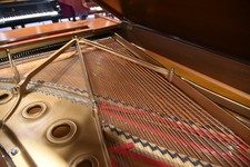 Steinway & Sons Modelo B 1980 Clássico Grande Anos 80 Tom Acabamento Nogueira #671 comprar usado Steinway & Sons Modelo B 1980 Clássico Grande Anos 80 Tom Acabamento Nogueira #671 comprar usado  Enviando para Brazil