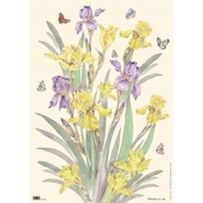 Carta decoupage iris usato  Villanova Mondovi