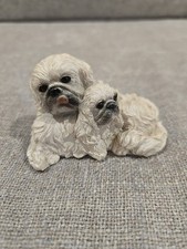 Two pekingese dogs for sale  Bradenton