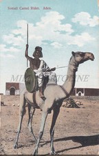 Yemen cavaliere cammelli usato  Roma