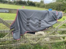 Amigo horseware foal for sale  LOUTH