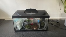 tetra filter for sale tetra filter for sale BEXLEY
