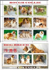Folha de selos + bloco Dogs Rough Collie edição Coreia 2020 comprar usado Folha de selos + bloco Dogs Rough Collie edição Coreia 2020 comprar usado  Enviando para Brazil