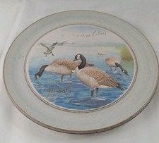 Canadian geese purbeck for sale  NORWICH