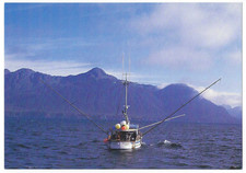 Pelican alaska fishing for sale  Wasilla