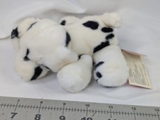 Russ dot dalmatian for sale  Afton