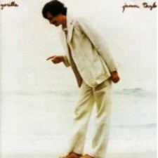 james taylor gorilla usato james taylor gorilla usato Milano
