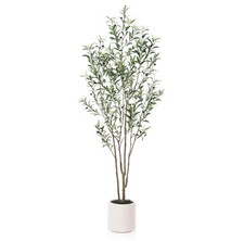 Artificial olive trees for sale  Brentwood
