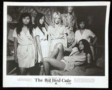 Big bird cage for sale  Pensacola