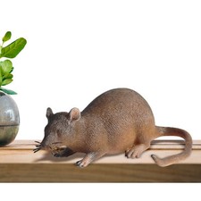 Realistic mouse prank for sale  LICHFIELD