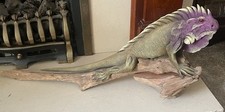 Extra large iguana for sale  BUXTON