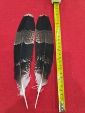 Z44 pen raised for sale  Hill City