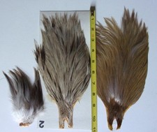 Hackles fly tying for sale  Carlisle