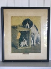 Framed last litter for sale  Saint Joseph