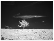 Câmera sem espelho infravermelha Panasonic DMC-GF3 12MP convertida 850nm 56 comprar usado  Enviando para Brazil
