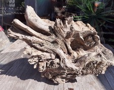 Rares treibholz schwemmholz gebraucht kaufen  Hilden