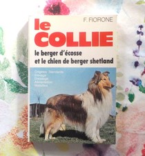 Collie berger ecosse d'occasion Collie berger ecosse d'occasion  Bubry