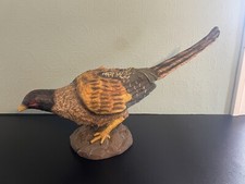 Pheasant game bird for sale  Newport