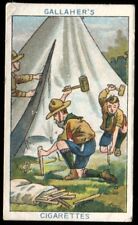 Tobacco card gallaher for sale  ASHFORD