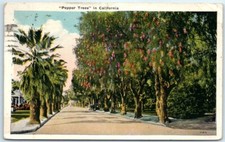 Postcard pepper trees for sale  Stevens Point