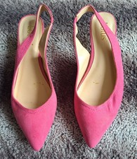 Cerise pink kitten for sale  SOLIHULL