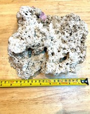 Live marine rock for sale  HITCHIN