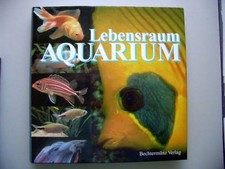 Lebensraum aquarium süß gebraucht kaufen  Eggenstein-Leopoldshafen