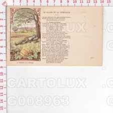 G8963 illustratore favola usato  Como