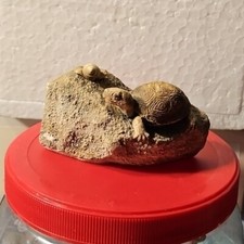 Collectible stone like for sale  Southampton