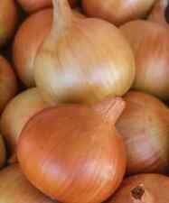 500 patterson onion for sale  Spring City