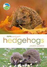 Rspb spotlight hedgehogs for sale  UK