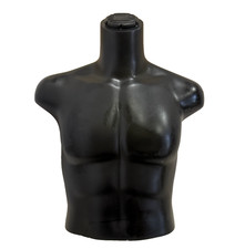 Mannequin male torso for sale  West Bloomfield