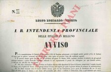 Per acquisto genziana usato  Italia