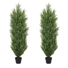 4ft cedar topiary for sale  Ashford