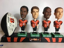 2007 cincinnati bengals for sale  Cincinnati