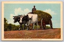 Rural quebec hay d'occasion  Expédié en Belgium