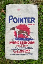 Rare pointer hybrid for sale  USA