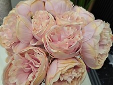 rose peony for sale rose peony for sale OSSETT