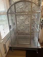 Large parrot cockatoo for sale  WATFORD