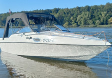 Sportboot wellcraft 192 gebraucht kaufen  Nusse