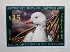 2006 federal duck for sale  Grand Rapids